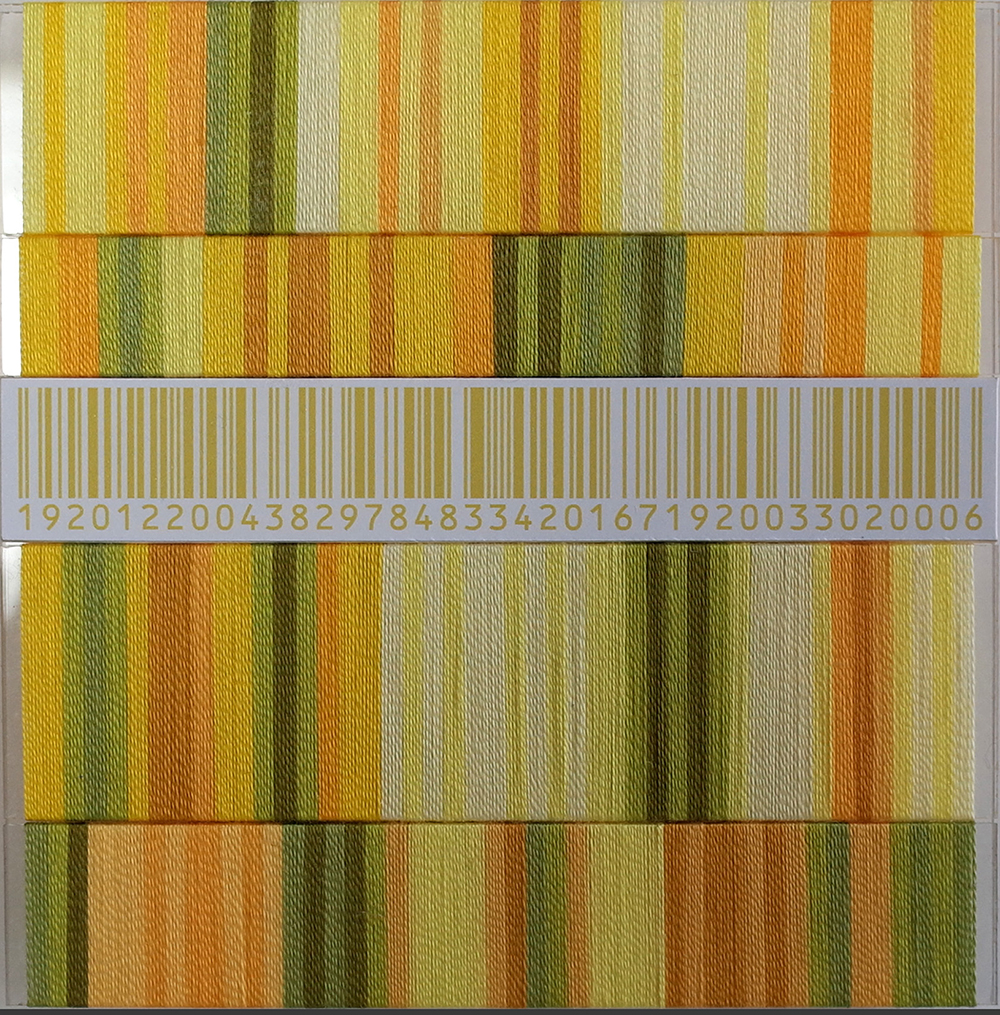 Silent Invader (SSS_yl1)