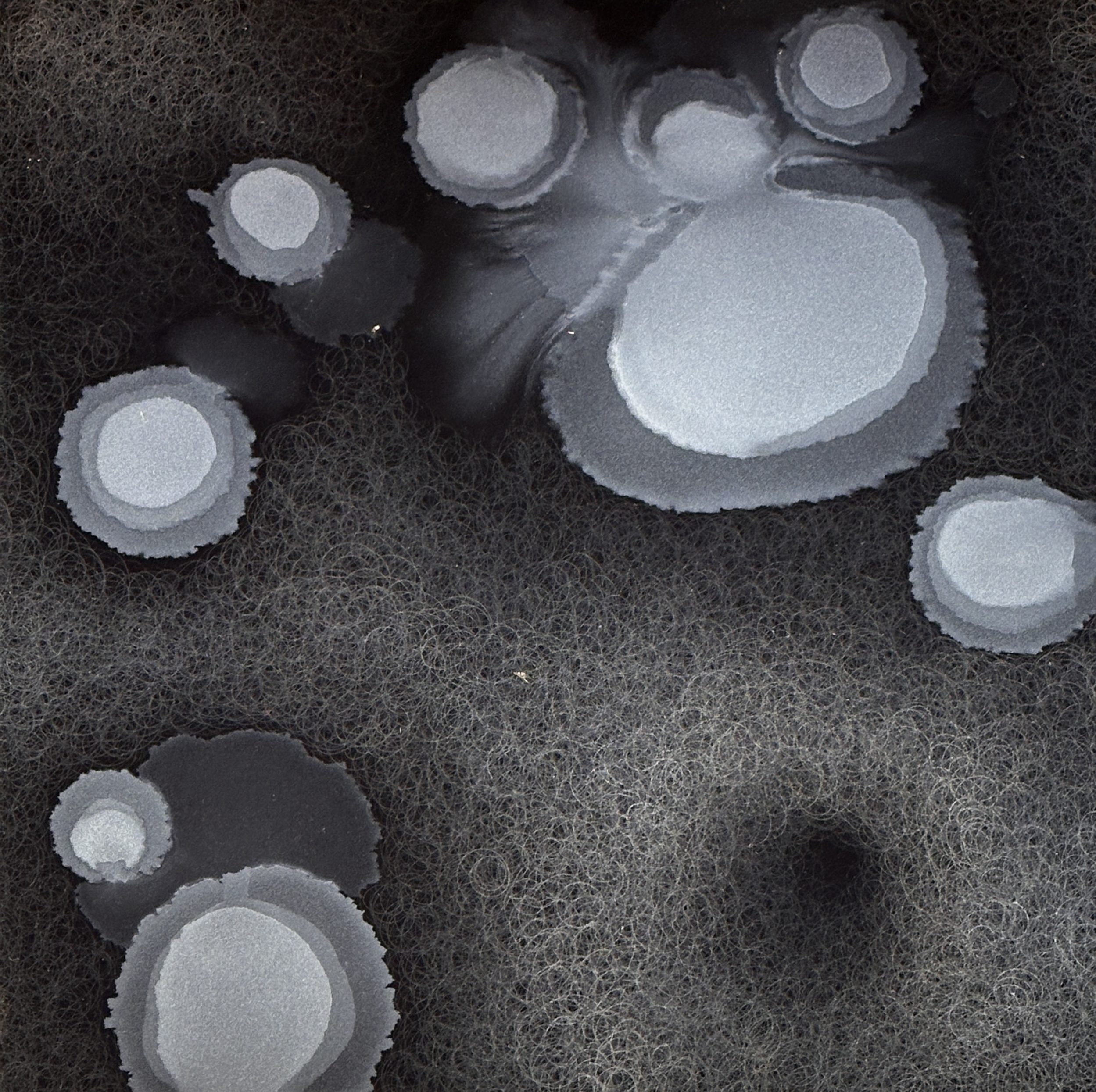 Echoes of Memory 2025-19